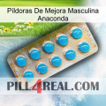 Píldoras De Mejora Masculina Anaconda new09